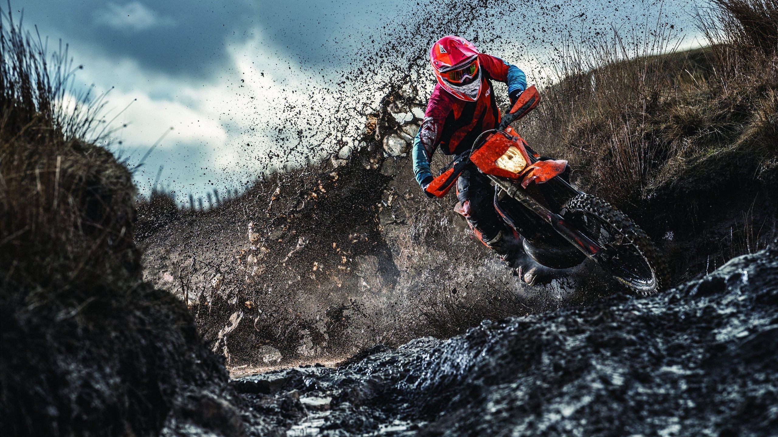 “全力出击！四川省体育馆自由搏击选手激战正酣”